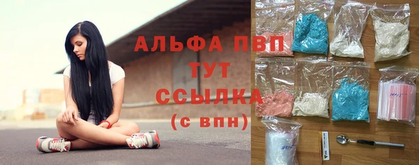 винт Алексин