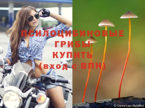 гашишное масло Алзамай