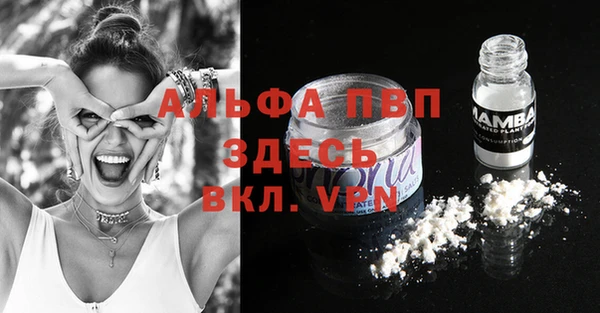 винт Алексин