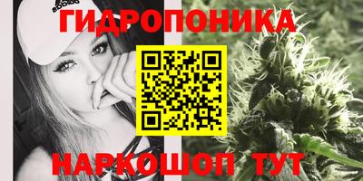 МДПВ Заводоуковск