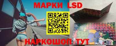 МДПВ Заводоуковск
