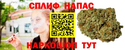 МДПВ Заводоуковск