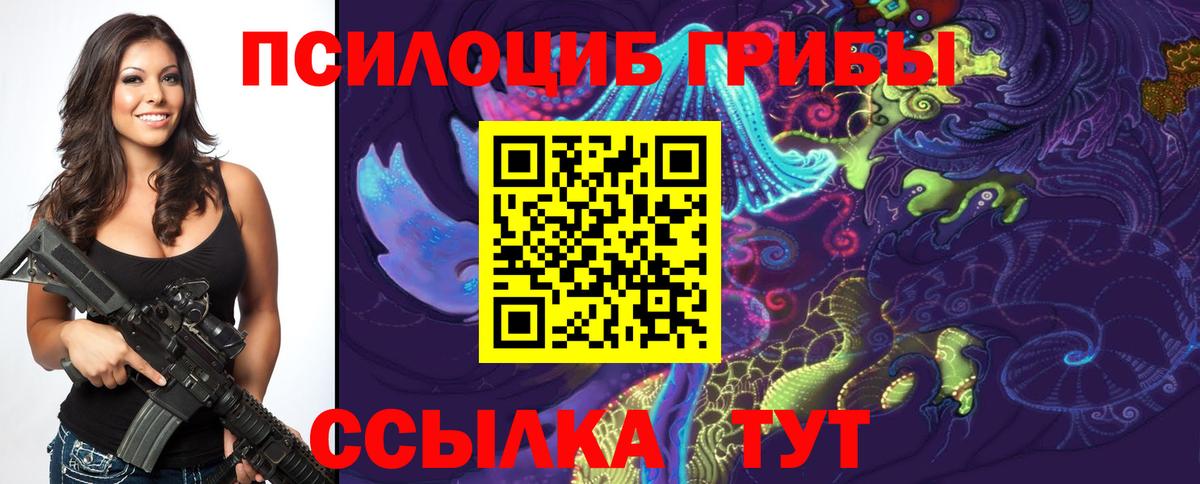 Псилоцибиновые грибы Psilocybe  Галлюциногенные грибы ЛСД  Новозыбков  Вход с VPN 