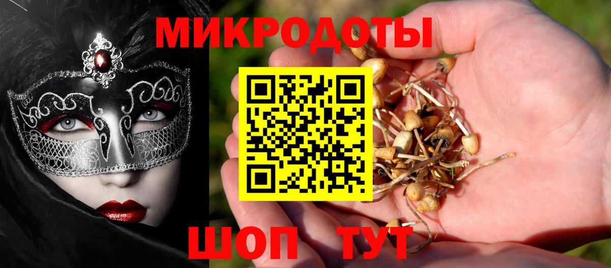 Новозыбков  Экстази  Меф   Кокаин  Гашиш  Вход с VPN  Бошки Шишки 